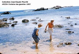 Oran- SDV- 4552- Pillon